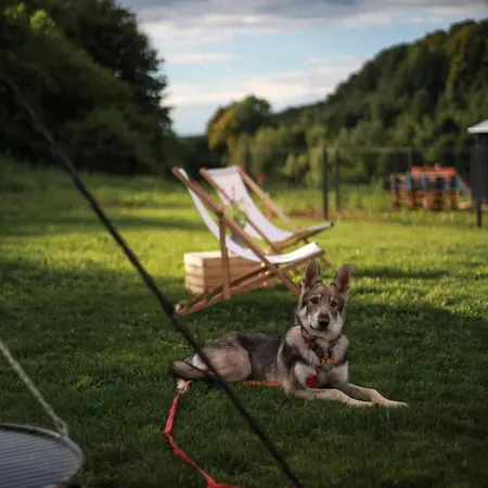 Appartement Penthouse Roku - Jelen & Natura *