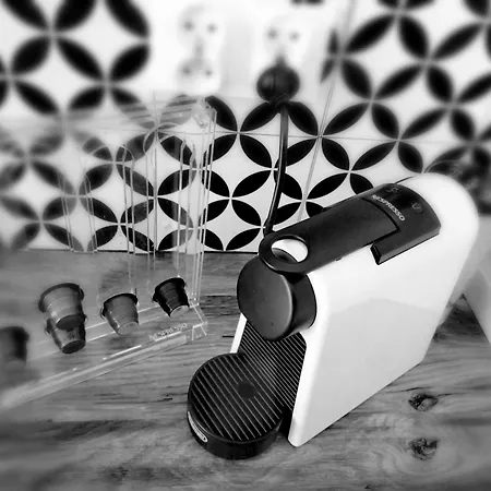 Penthouse Roku - Jelen & Natura Kudowa-Zdrój