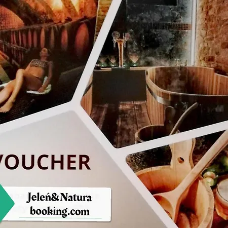 Appartement Penthouse Roku - Jelen & Natura Kudowa-Zdrój