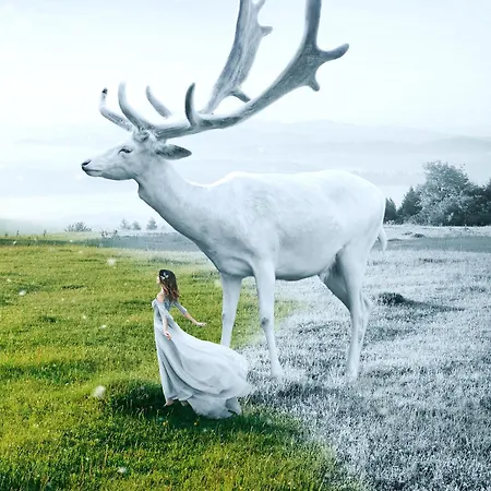 Appartement Penthouse Roku - Jelen & Natura