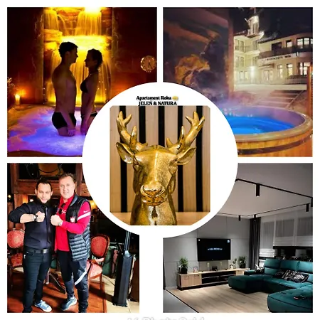 Appartement Penthouse Roku - Jelen & Natura *