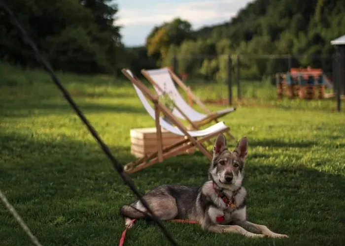 Apartmán Roku24 - Jelen & Natura *