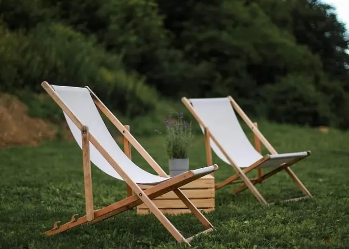 Roku24 - Jelen & Natura *