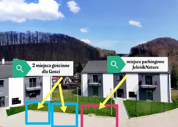 Roku24 - Jelen & Natura