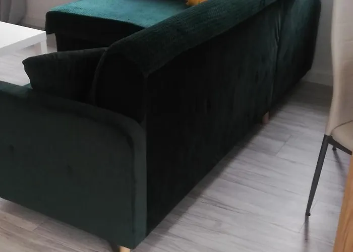 Roku24 - Jelen & Natura *